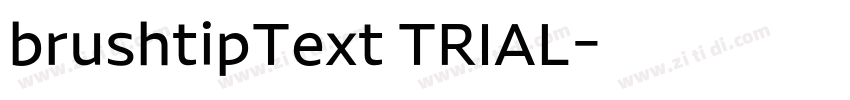 brushtipText TRIAL字体转换